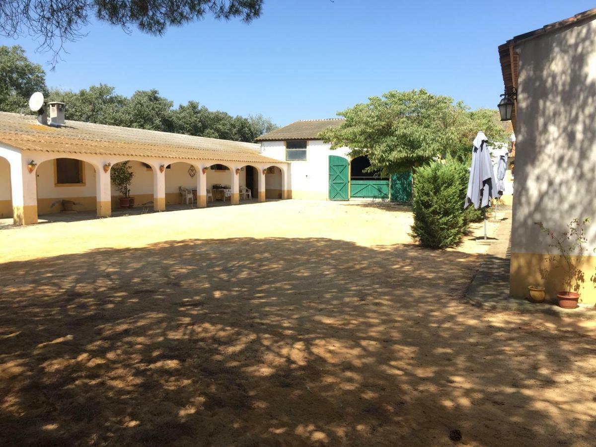 El Rocio 1 Gites Equestre Saintes-Maries-de-la-Mer Exterior photo
